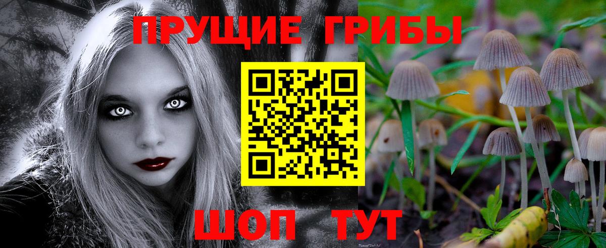 Псилоцибиновые грибы ЛСД  Псилоцибиновые грибы Psilocybine cubensis  Вход с VPN  Пермь 